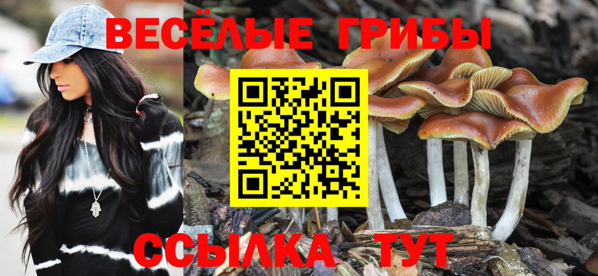 Топки  Галлюциногенные грибы прущие грибы  Вход с VPN 
